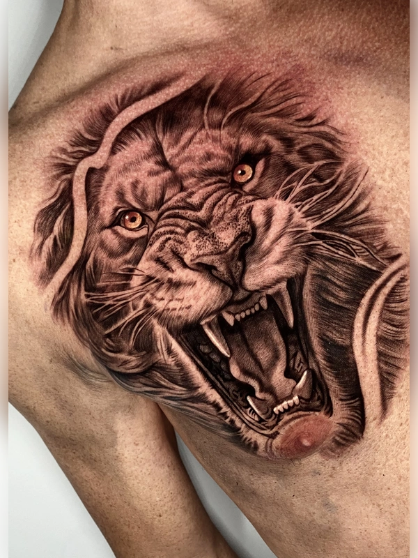 nuove foto (9)